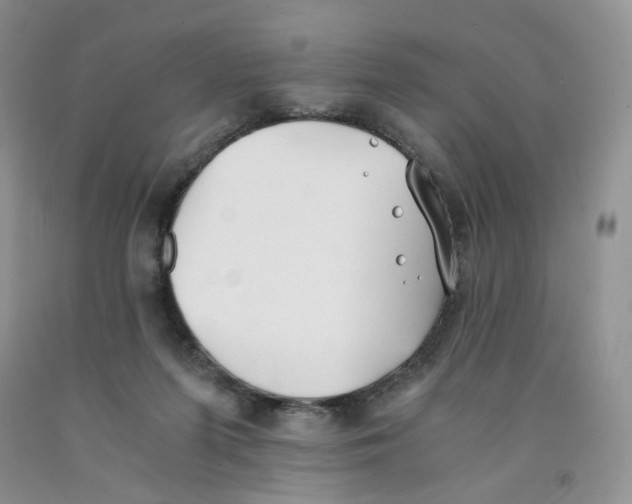 X0000091300215200709071100