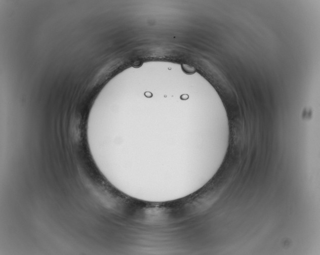 X0000091300216200709071100