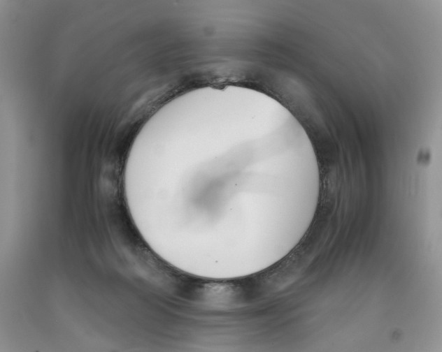 X0000091300218200709071100