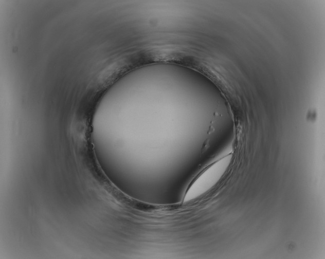 X0000091300219200709071100