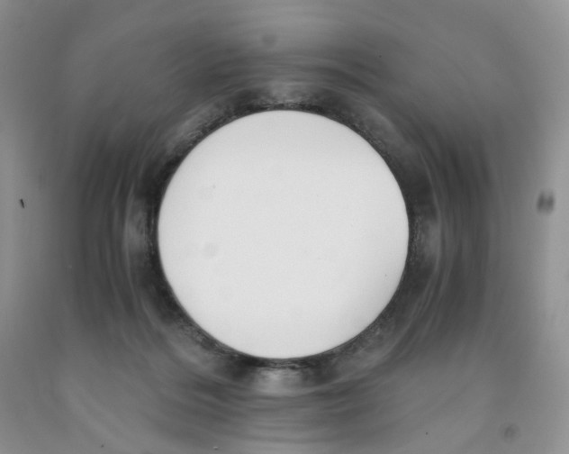 X0000091300220200709071100