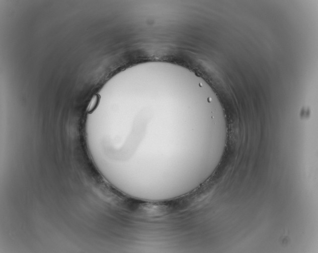 X0000091300221200709071100