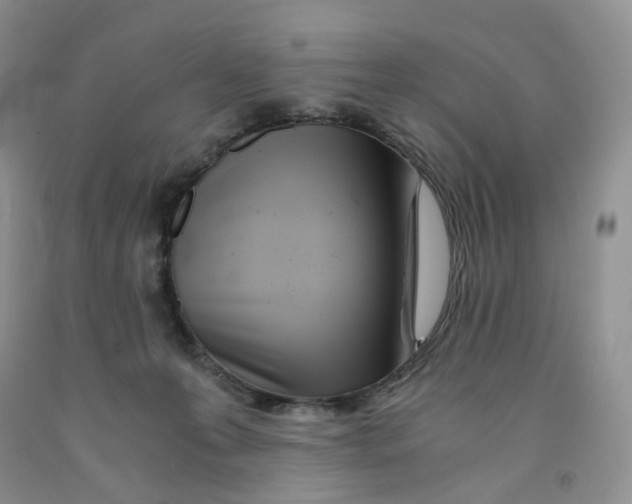 X0000091300223200709071100