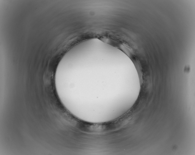 X0000091300225200709071100