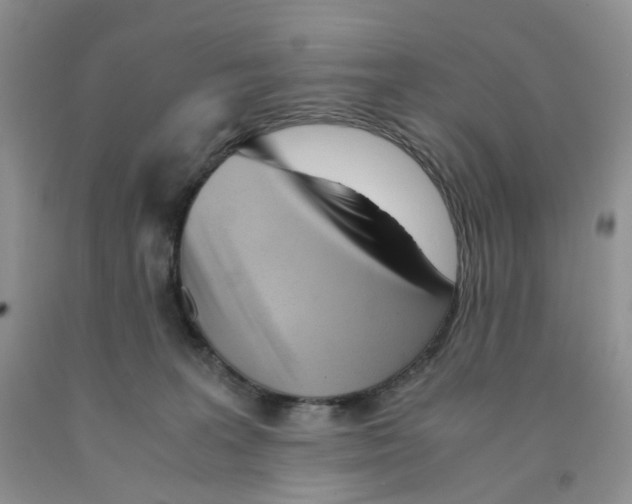 X0000091300227200709071100