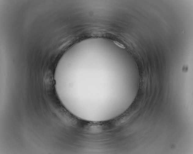 X0000091300228200709071100