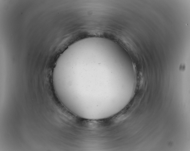 X0000091300229200709071100