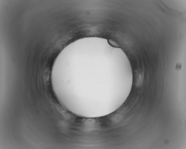 X0000091300230200709071100