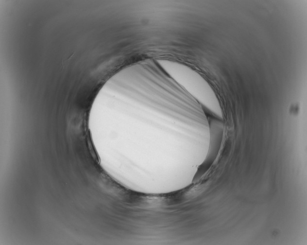 X0000091300233200709071100