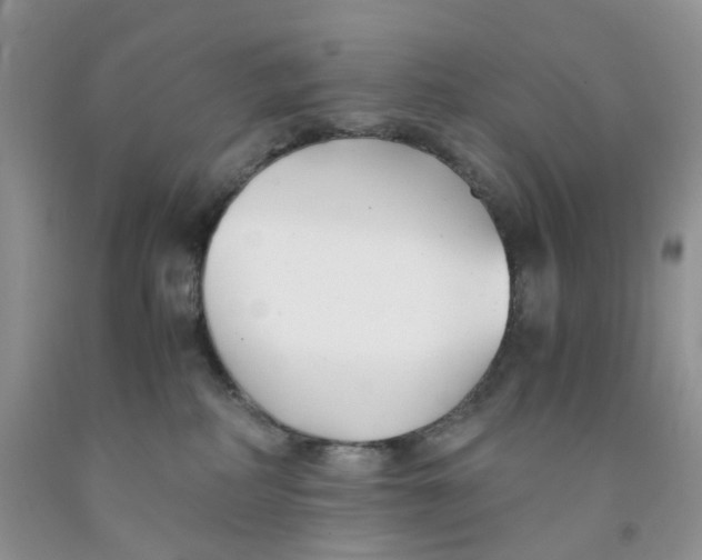 X0000091300234200709071100