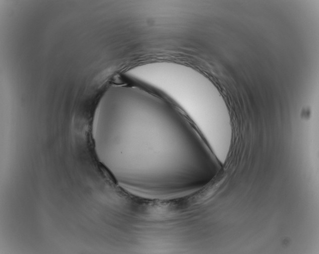 X0000091300235200709071100