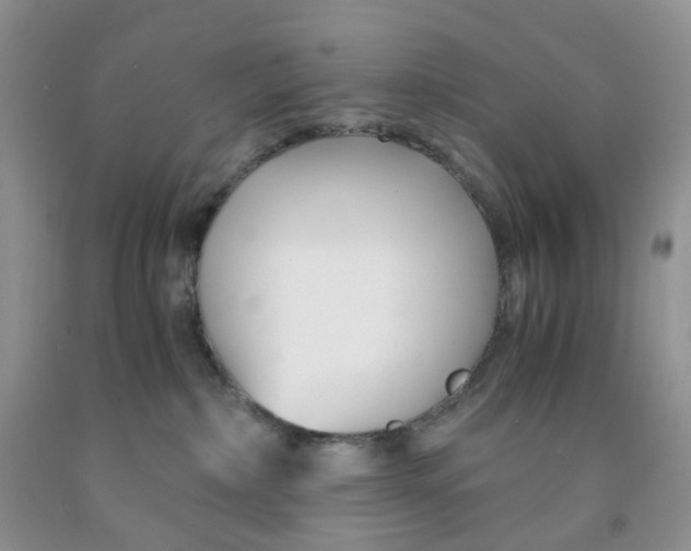 X0000091300236200709071100