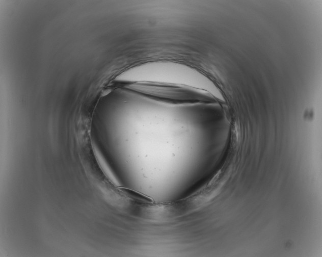 X0000091300237200709071100