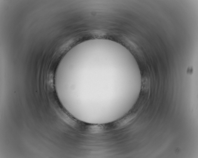 X0000091300238200709071059