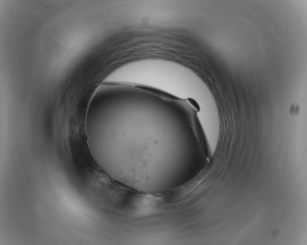 X0000091300239200709071059