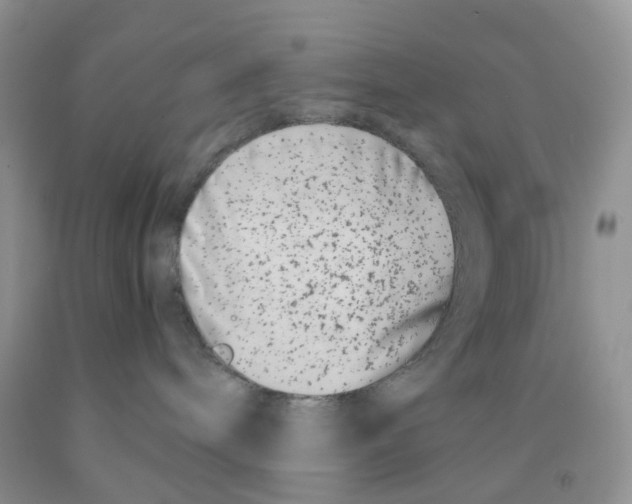 X0000091300240200709071059