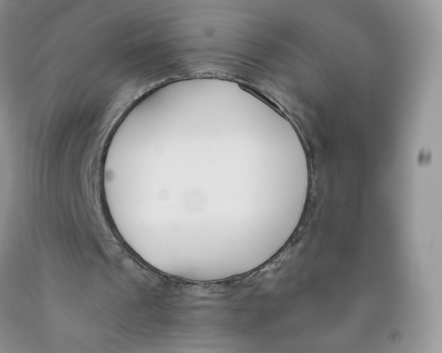 X0000091300241200709071059