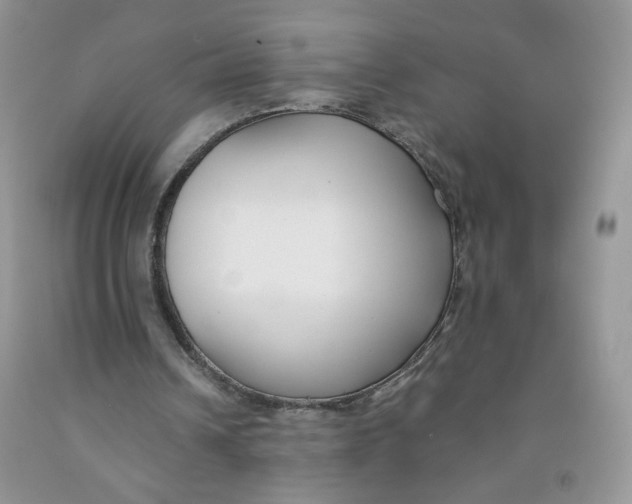 X0000091300242200709071059