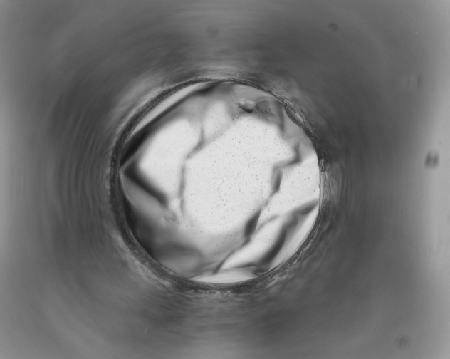 X0000091300243200709071059