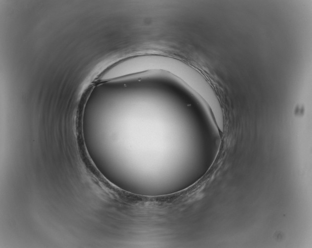 X0000091300244200709071059