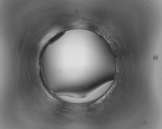 X0000091300245200709071059