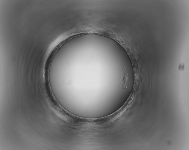 X0000091300246200709071059