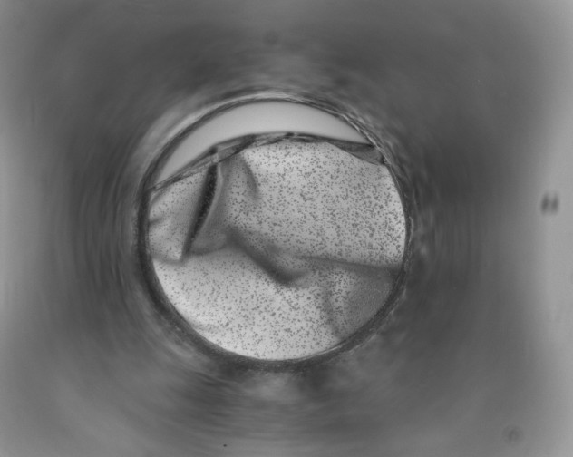 X0000091300247200709071059