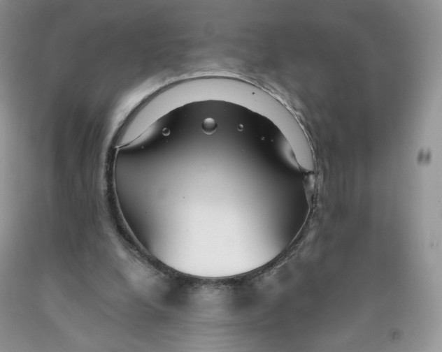 X0000091300248200709071059