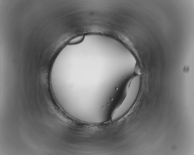 X0000091300249200709071059