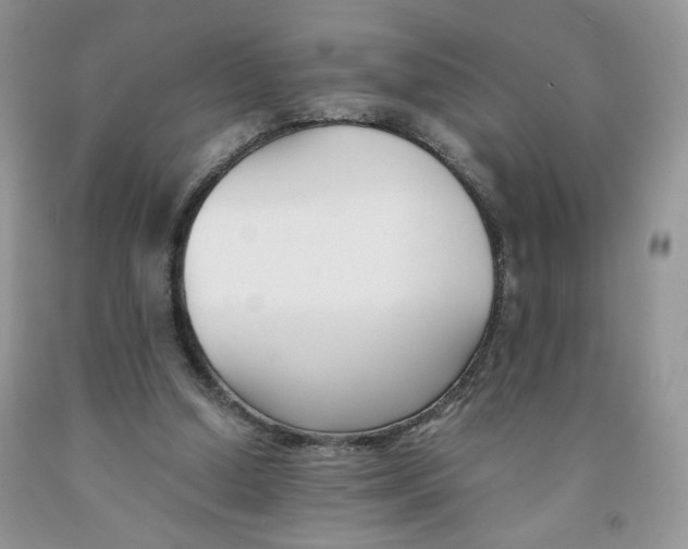 X0000091300250200709071059