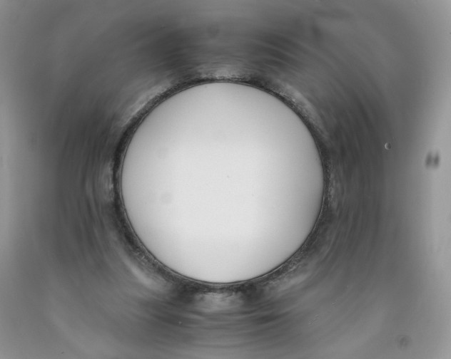 X0000091300251200709071059