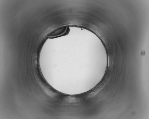 X0000091300253200709071059