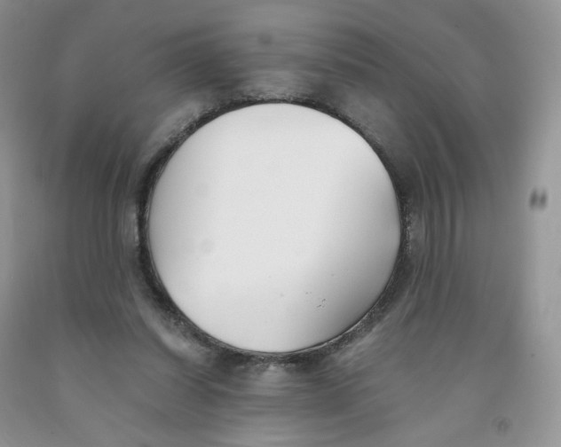 X0000091300254200709071059