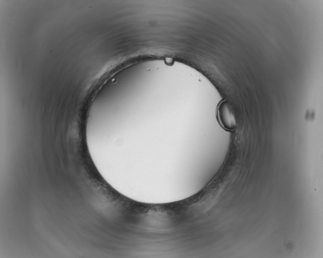 X0000091300256200709071059