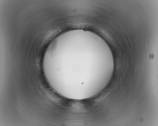 X0000091300258200709071059