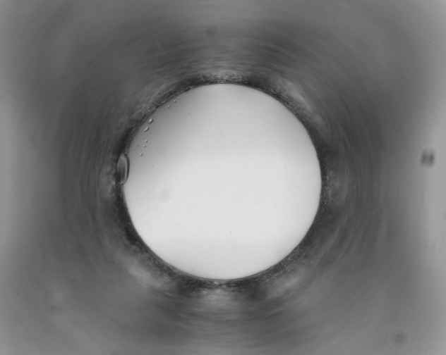 X0000091300259200709071059