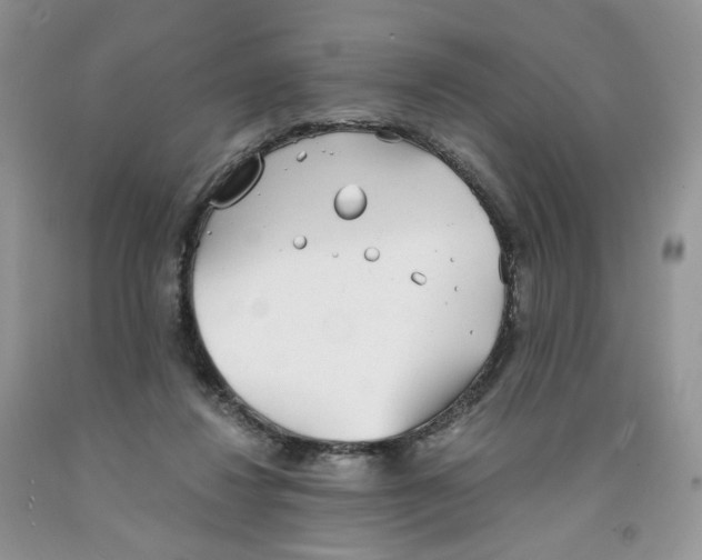 X0000091300260200709071059