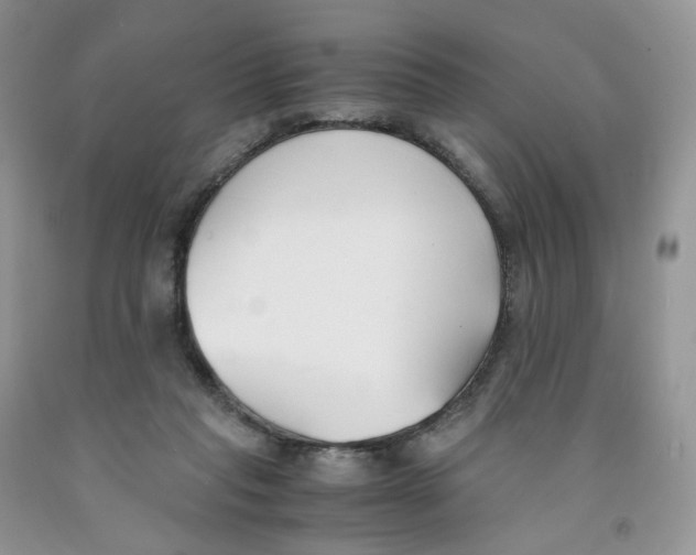 X0000091300261200709071059