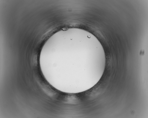 X0000091300262200709071059