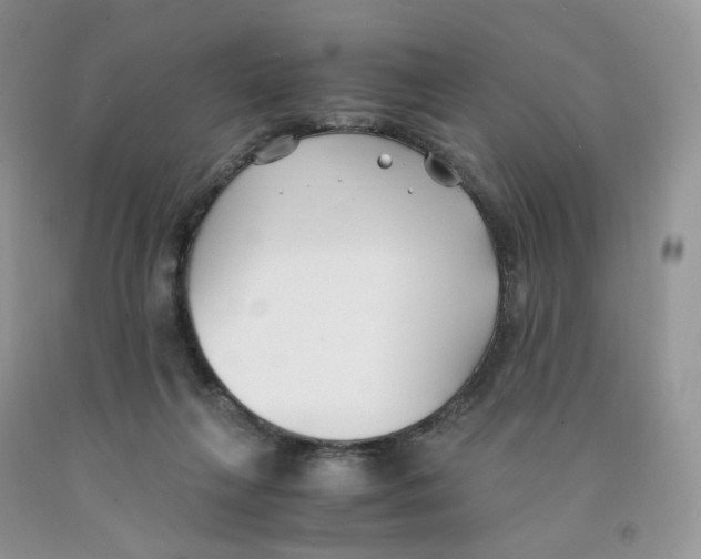 X0000091300263200709071059