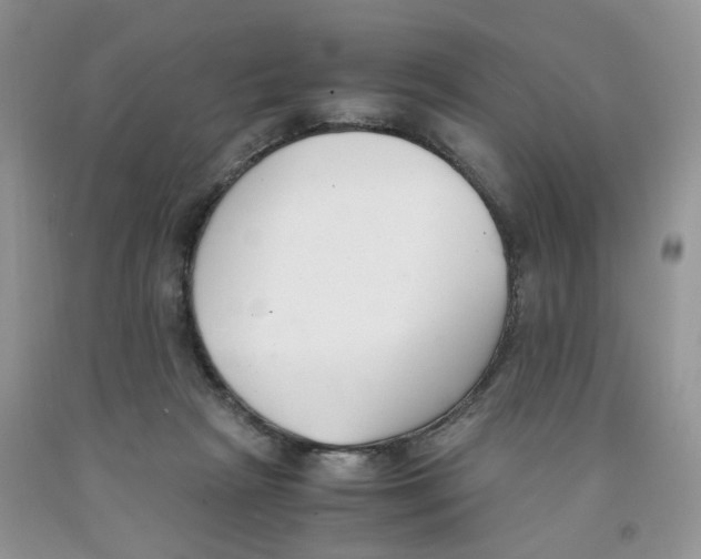 X0000091300265200709071059