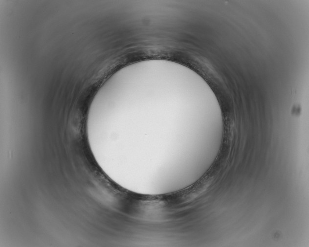 X0000091300266200709071059