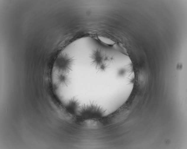 X0000091300272200709071059