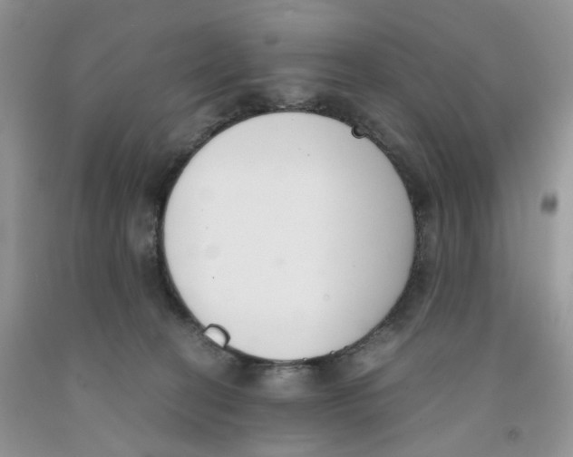 X0000091300274200709071059