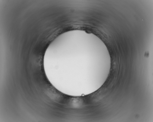 X0000091300275200709071059