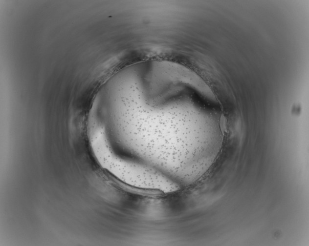 X0000091300276200709071059