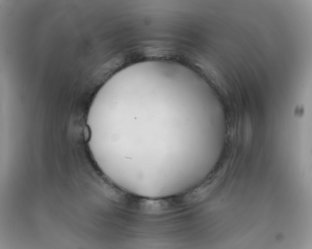 X0000091300277200709071059