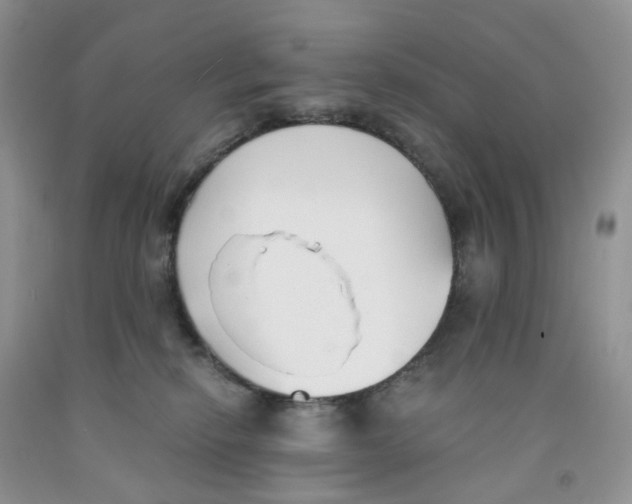 X0000091300278200709071059