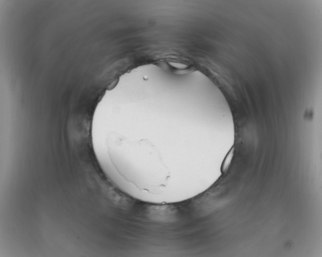 X0000091300281200709071059