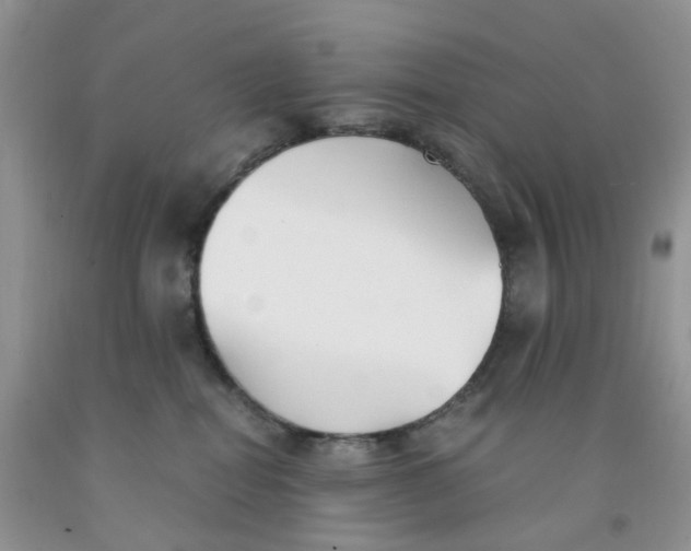 X0000091300282200709071059